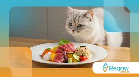 Como Escolher a Melhor Ração para o Seu Gato